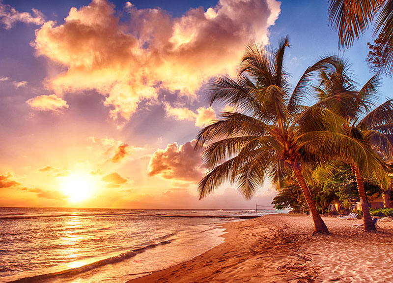 夕日とヤシの木のビーチ